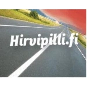 Tie ja kesäinen maisema. Teksti hirvipill.fi.